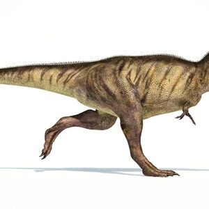 Meet your Posher, Razzler